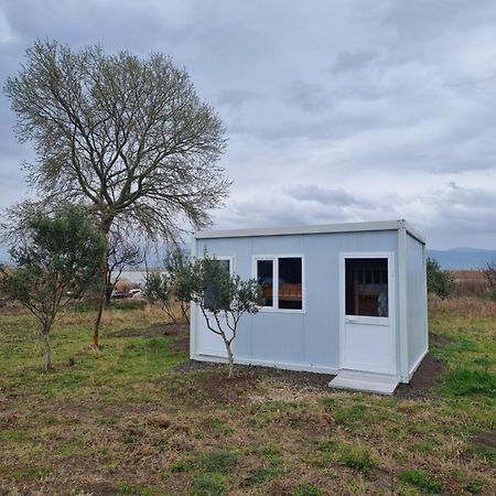 Camping & Biofarm Gjegji Hotel Lezhe Exterior photo